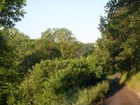 Waldbierg