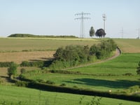 Waldbierg