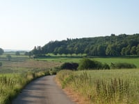 Waldbierg