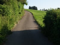 Waldbierg