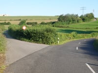 Waldbierg