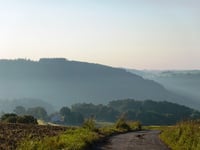 Waldbierg