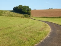 Waldbierg