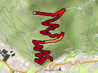 Waldenen z Bürglen