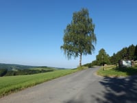 Waldhaus Ohlenbach