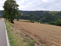 Waldhof-Falkenstein da Keppeshausen