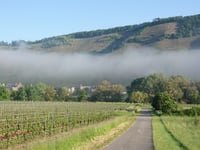 Waldkapelle Erden from Auf der Geig