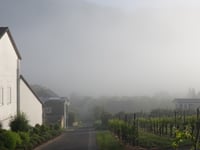 Waldkapelle Erden von Erden