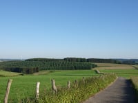 Waldkierfecht from Rimmelsfuert