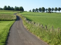 Waldkierfecht from Rimmelsfuert
