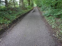 Waldstrasse von Pumpermühle