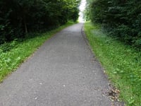 Waldstrasse von Pumpermühle