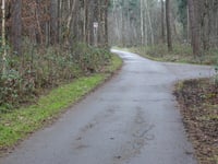 Waldstrasse from Süsterseel