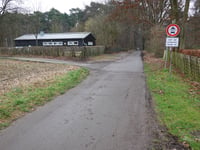 Waldstrasse from Süsterseel