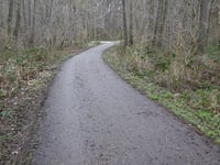 Waldstrasse über Wildpark Gangelt