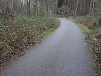 Waldstrasse via Wildpark Gangelt