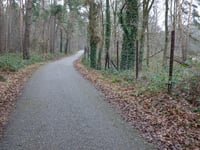 Waldstrasse via Wildpark Gangelt