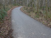 Waldstrasse via Wildpark Gangelt