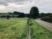 Walem da Schin op Geul