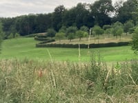 Walenberg über Postweg