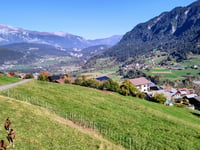 Wali von Tavanasa