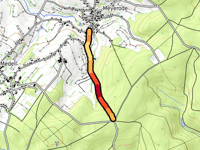 Walleroder Wald from Meyerode