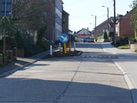 Waltwilder über Langstraat
