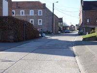 Waltwilder über Langstraat
