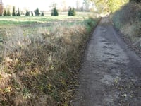 Wammersweg von Groot Welsden