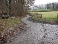 Wanenberg
