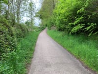 Wanenberg
