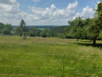 Warmonfosse from Harzé