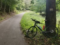 Warszawska von Walim
