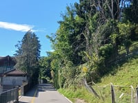 Wartbodenstrasse über Riedstrasse