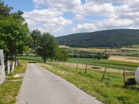 Wartenberg von Donau