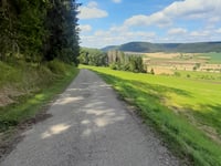 Wartenberg von Geisingen
