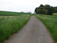 Wäschbach-Quelle from Kommen via Neuweg