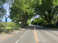 Wassenaarse Slag / De Klip da Wassenaar