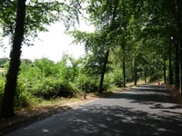 Watersley