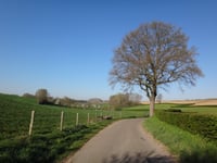 Waterval von Meerssen