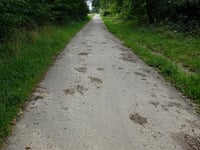Waubacher Weg von Grenzweg