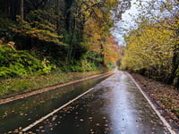 Cutcombe Hill da Timberscombe