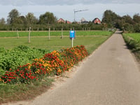 Weerterbos via Op De Steeg