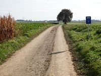 Weerterbos via Op De Steeg