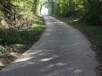 Weerterbos via Op De Steeg