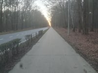 Weg naar Zwartberg