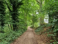 Weg over de Heide von Vaesrade