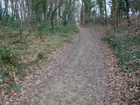Weg over de Heide von Vaesrade