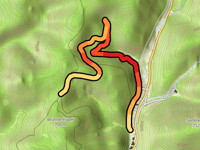 Wegspinne von Schleusingerneundorf