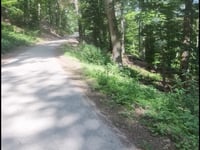 Wehlener Dreifaltigkeit von Wehlen